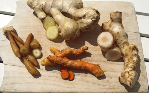 Cúrcuma y cáncer