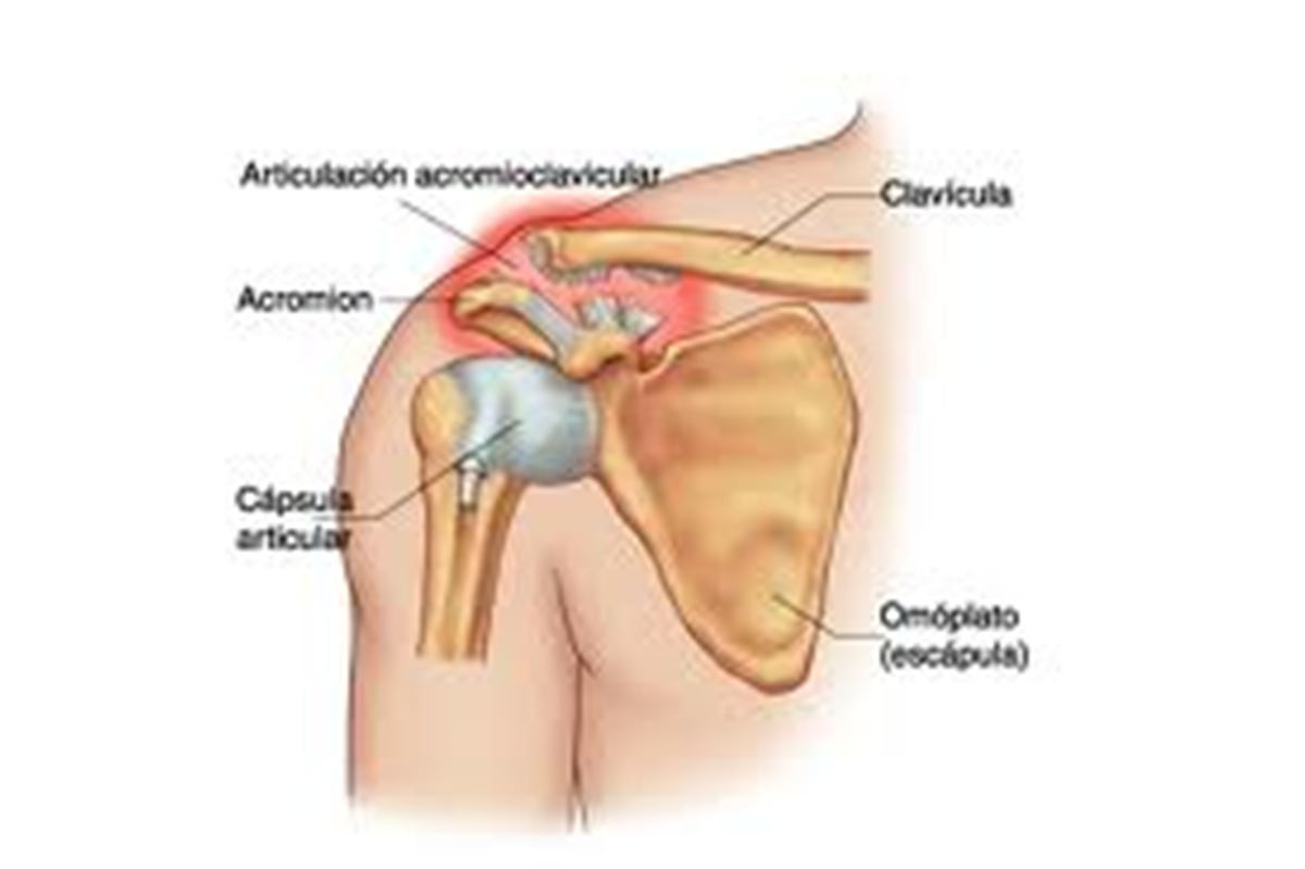 Como adelgazar y motivarse para su logro