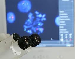 Predisposición genética al cáncer