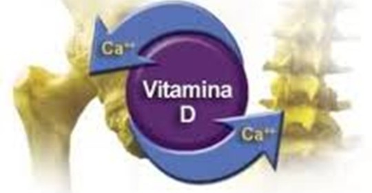 La vitamina D