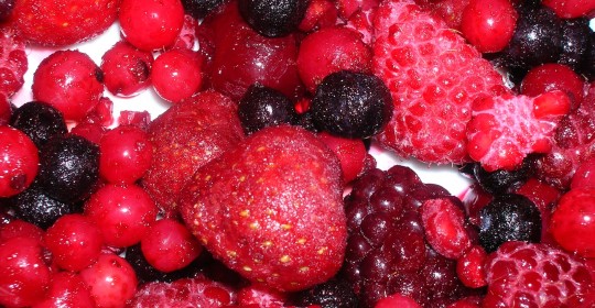 Alimentos con mayor actividad antioxidante