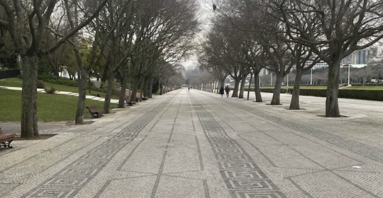 Luxación de rodilla