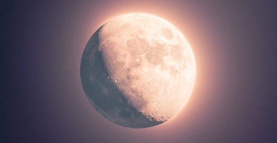 Prevención de la gripe