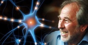 Bruce-Lipton-Epigenetica