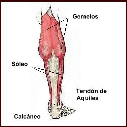 tratamiento lesión gemelo