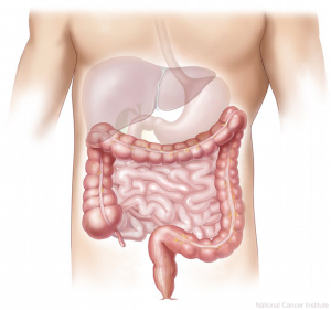 Tratamiento de enfermedades digestivas y alergias alimentarias