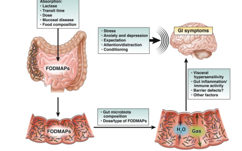 dietas-fodmap