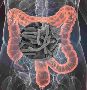 tratamiento de la disbiosis intestinal