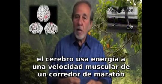 Energía y dinero, reflexiones de Bruce Lipton